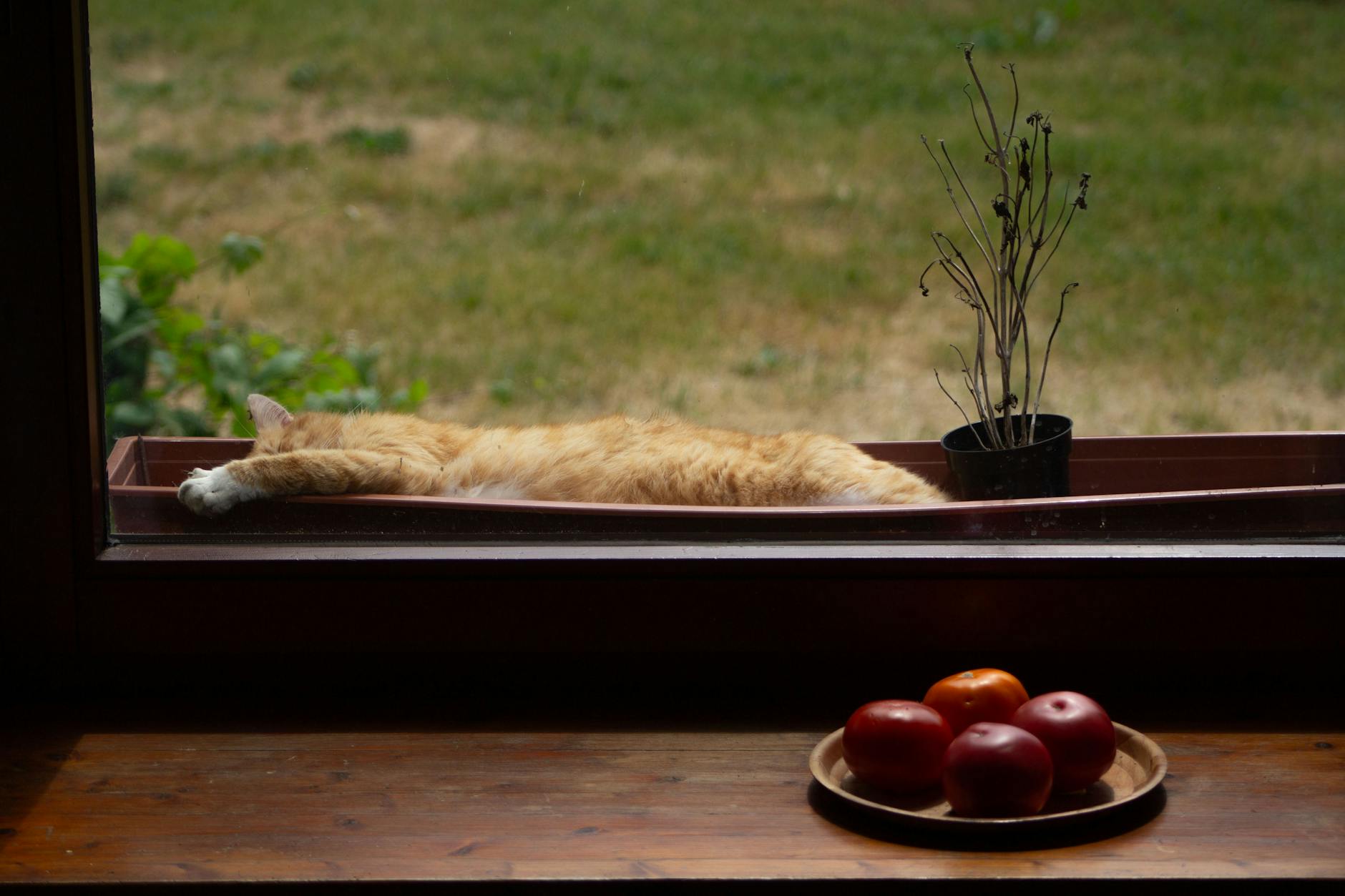 Funkcjonowanie Komendy Miejskiej Państwowej Straży Pożarnej w Bytomiu – narada podsumowująca rok 2025